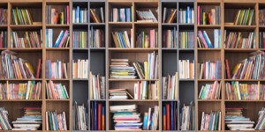 Beitragsbild des Blogbeitrags „Männerschreck“: (Diese) Bücher passen nicht zu anziehenden Frauen