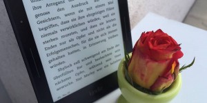 Beitragsbild des Blogbeitrags Piraterie: Geklaute E-Books kosten Verlage und Autor*innen 300 Millionen