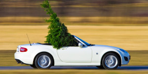 Beitragsbild des Blogbeitrags Frohe Festtage!