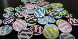 Beitragsbild des Blogbeitrags WordPress oEmbed Cache löschen 