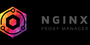 Beitragsbild des Blogbeitrags ERR_TOO_MANY_REDIRECTS bei Apache und NGINX Proxy Manager