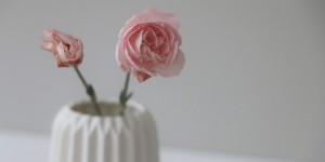 Beitragsbild des Blogbeitrags Zitate und Hintergrundbilder