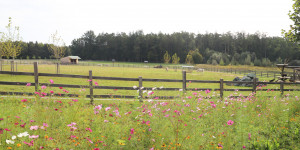 Beitragsbild des Blogbeitrags Herbsturlaub im Reiters Reserve Finest Family Hotel