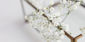 Beitragsbild des Blogbeitrags Zitate und Hintergrundbilder Edition 2021