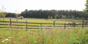 Beitragsbild des Blogbeitrags Herbsturlaub im Reiters Reserve Finest Family Hotel