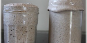 Beitragsbild des Blogbeitrags Sauerteig – so geht’s!