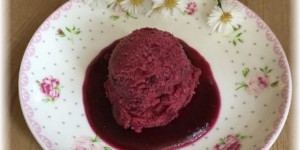 Beitragsbild des Blogbeitrags Letztes Eis vor dem Winter – Uhudlersorbet
