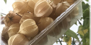 Beitragsbild des Blogbeitrags Physalis Marmelade