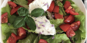 Beitragsbild des Blogbeitrags Essen im Frühling: Salat und Kräuter 