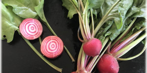Beitragsbild des Blogbeitrags Aus dem Garten – Rote Rüben