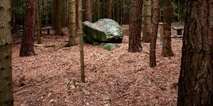 Beitragsbild des Blogbeitrags Eine Krafttankstelle in Bernstein