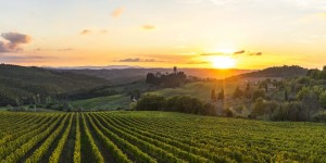 Beitragsbild des Blogbeitrags Genussreise in Italien: 5 Foodie-Hotspots, die du kennen musst 