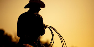 Beitragsbild des Blogbeitrags Wild, Wild, West: Ein US-Trip auf den Spuren von Cowboys