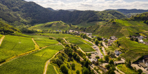 Beitragsbild des Blogbeitrags Radfahren, Rotwein, Ritter – die Highlights im Ahrtal in Rheinland-Pfalz