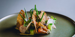 Beitragsbild des Blogbeitrags Gourmet-Reise in Dresden Elbland