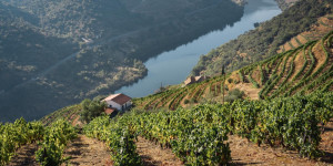 Beitragsbild des Blogbeitrags Geheimtipps für Nordportugal: Die Top 10 besten Portwein Locations
