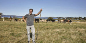 Beitragsbild des Blogbeitrags Insidertipps Stralsund: Mathias Schilling