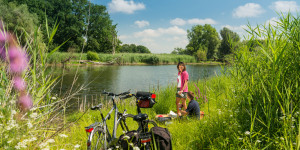 Beitragsbild des Blogbeitrags Go green! 10 richtig grüne Plätze in Magdeburg 