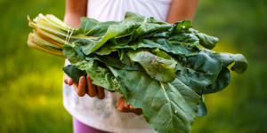 Beitragsbild des Blogbeitrags Hippes, grünes Leipzig: 10 mal vegetarisch, vegan & bio