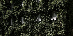 Beitragsbild des Blogbeitrags Parkhotel Mondschein: Hideaway in Bozen