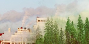 Beitragsbild des Blogbeitrags Deshalb brauchen wir Green Business
