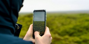 Beitragsbild des Blogbeitrags Digital = Nachhaltig ?
