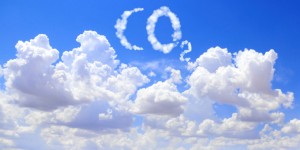 Beitragsbild des Blogbeitrags CO2 Kompensation – alles was Du darüber wissen musst 