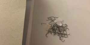 Beitragsbild des Blogbeitrags Wichtige Dinge Sollten In Wertigen Planern Stehen