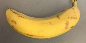 Beitragsbild des Blogbeitrags 5 Gründe, die für den Verzehr von Bananen  