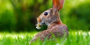 Beitragsbild des Blogbeitrags Ostergebet: Allmächtiger Gütiger Gott und Vater 