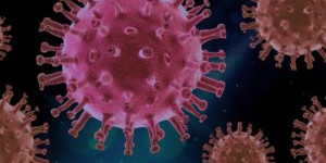 Beitragsbild des Blogbeitrags Coronavirus Kanton Zürich: Aktuelle Zahlen Vom 30. Oktober 2020