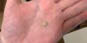 Beitragsbild des Blogbeitrags Routine 5/52. Ginkgo