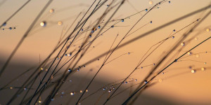Beitragsbild des Blogbeitrags Morgenseiten #1 Wiederaufnahmen
