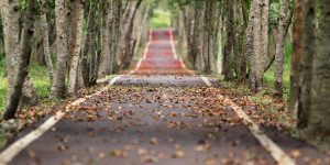 Beitragsbild des Blogbeitrags Gedicht | Hofmannsthal: Der nächtliche Weg