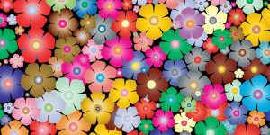 Beitragsbild des Blogbeitrags Gedicht | Ledwina: Vom Leben