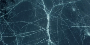 Beitragsbild des Blogbeitrags Gedicht | Schiller: Grabschrift eines gewissen Physiognomen