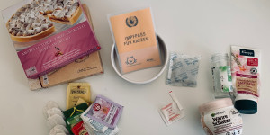 Beitragsbild des Blogbeitrags Tschüss, Miez!