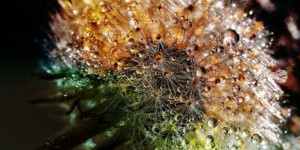Beitragsbild des Blogbeitrags Gebet: Morgensegen