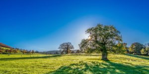 Beitragsbild des Blogbeitrags Gedicht | Hensel: Der Fluch der Zeit