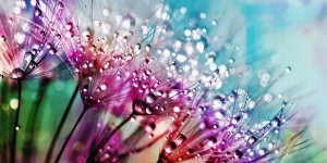 Beitragsbild des Blogbeitrags Endlos müde und lustlos? 