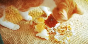 Beitragsbild des Blogbeitrags Heute schon den Kristallen zugehört? 