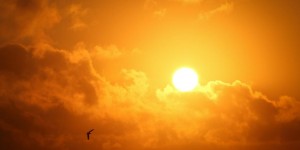 Beitragsbild des Blogbeitrags Hast du Angst vor mir? Die Stimme der Dunkelheit 