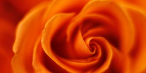Beitragsbild des Blogbeitrags Das Orange in deiner Aura