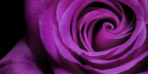 Beitragsbild des Blogbeitrags Das Violett in deiner Aura 
