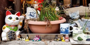 Beitragsbild des Blogbeitrags Onomichi – Japan’s secret Cat Hotspot?