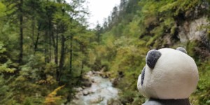 Beitragsbild des Blogbeitrags Hiking the Tscheppaschlucht Canyon in Carinthia 