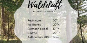Beitragsbild des Blogbeitrags Frische Waldluft für Zuhause