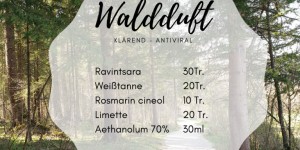 Beitragsbild des Blogbeitrags Frische Waldluft für Zuhause 