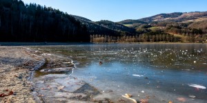 Beitragsbild des Blogbeitrags Ausflugsziel: Stubenbergsee in der Steiermark