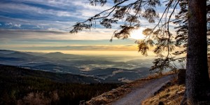 Beitragsbild des Blogbeitrags Vorher/Nachher #3